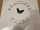 the stone roses beautiful thing Limited Edition Numbered Vinyl Number 63Of6000