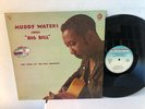 MUDDY WATERS sings 
