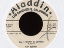 Rockabilly 45 - Flip Sloan - All I Want is Loving on Aladdin Promo P.F. Sloan