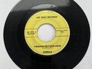 Cobras - I Wanna be Your Love (Big Beat Records BB 1002) VG/Generic