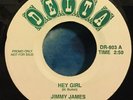 Jimmy James And The Vagabonds / Greyhound 45 Hey Girl / Moon River DELTA