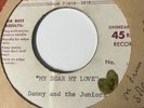 Danny and The Juniors UNRELEASED ? 45 METAL ACETATE DOO WOP