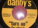 The Rationals Turn On / Irrational Danby’s 45 Garage Punk Rock Psych RARE
