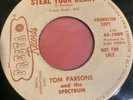 Tom Parsons and the Spectrum Steal Your Heart 45 RARE Garage Punk Psych Mover