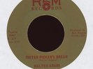 Bluegrass 45 - Walter Adams - Guitar Picker's Dream on REM