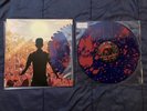 A Day To Remember - Common Courtesy Shark Attack Edition /2000
