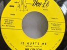 The Citations  DOO-WOP R&B It Hurts Me / Kiss In The Night Near-MINT Don-El # 14