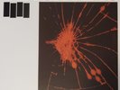 Black Flag - Damaged With Dez - Lp  Vinyl. Neuf.