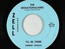 Black Gospel 45 - Sensationalaires - I'll Be There - Zell - mp3