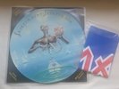 IRON MAIDEN SEVENTH SON OF A SEVENTH SON PICTURE DISC LP & BANNER  *MUSEUM COPY*
