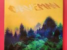 Caveman ‎– 'Caveman' LP 2013 USA Fat Possum Records Rumpus Room Indie Rock VG+ x