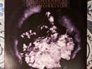 VAN MORRISON Enlightenment 1990 vinyl lp with original inner sleeve 12