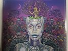 Erykah Badu – New Amerykah Part Two: Return Of The Ankh - 2 LP Vinyl Records NEW