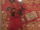MAE   WEST    LP   MADE IN DECEMBER
