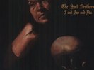 I and Love and You by Avett Brothers (Record, 2013)