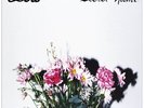 Low Secret Name (Vinyl) 12