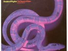 Shades Of Rhythm - The Sound Of Eden (Every Time I See Her) (12