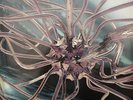 The Future Sound Of London - Cascade (Vinyl)
