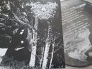 DROWNING THE  Vinyl black metal Peste Dark Fury Satanic Goatmoon Magick Death