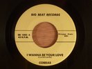 Cobras  I Wanna Be Your Love/Instant Heartache CRAZY RARE  Original Garage Punk