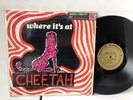 rare LIVE psych LP - CHEETAH where it's at - ESQUIRES '66 Mono ESQUIRES STONES