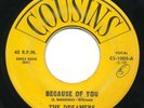 DREAMERS - Little Girl / Because Of You - COUSINS - Doo Wop 45