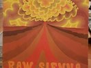 Savoy Brown Raw Sienna US LP Gatefold 1970 Vinyl-EX
