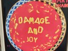 THE Jesus and Mary Chain-Damage and Joy Ltd Edition