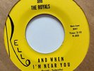 Richie And The Royals 45 Rello Lbl. MINT Group Sound