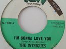 60's Northern Soul 45  *  The Intrigues  *  I'm Gonna Love You  *   YEW  *