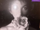 Kate Bush - Remastered in VinyI 11  2 - 4 x 180G Vinyl 12
