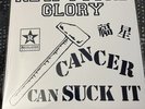 New Found Glory Make the Most of It Cancer Can Suck It Cover