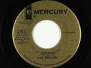 Rockabilly Surf Inst. 45 - Apaches - Geronimo - Mercury - VG+ mp3