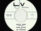 Rockabilly 45 - Bobby Wayne & the Warriors - Sally Ann - LJV - VG+ mp3 - rare