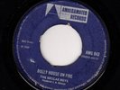 THE REGGAE BOYS - DOLLY HOUSE ON FIRE / THE REGGAE TRAIN
