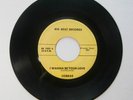COBRAS I Wanna Be Your Love / Instant Heartache –  RARE 1967 45 Big Beat BB 1002