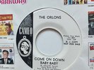 The Orlons 45 Come On Down Baby Baby MINT PROMO Northern Soul