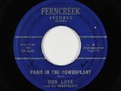 Rockabilly Inst. 45 - Don Love - Panic In The Powerplant - Ferncreek - obscure