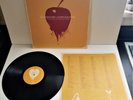 RARE Dashboard Confessional The Shade of Poison Trees 2007 NM Lyric Sleeve Rock