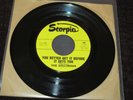 THE GOLLIWOGS / Walking On The Water RARE OG USA 1966 SINGLE 7