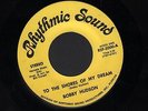 Hear 1970s Bobby Hudson Folk Rock / Pop Psych M- 45 (To the Shores of My Dream)