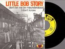 LITTLE BOB STORY   SINGLE  ARCANE   