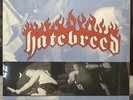 1997 Hatebreed Satisfaction Is The Death Of Desire Vinyl LP Unopened
