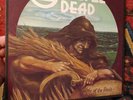 THE GRATEFUL DEAD - WAKE OF THE FLOOD - LP RECORD