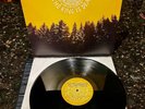 The King Is Dead by The Decemberists Vinyl, LP, Album, 180g, 2011