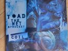 Sealed Toad The Wet Sprocket Coil Vinyl Record EU pressing on white