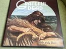 LIKE NEW - MINT  Grateful Dead - In The Wake of the Flood  Vinyl LP 1973