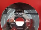 Elvis Presley Love Me Tender 7