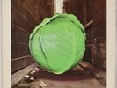 THE METERS: Cabbage Alley US OG Reprise ’72 Soul Funk Vinyl LP Hear