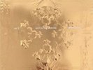 Watch the Throne Kanye West & Jay Z 2-Record LP (2012)